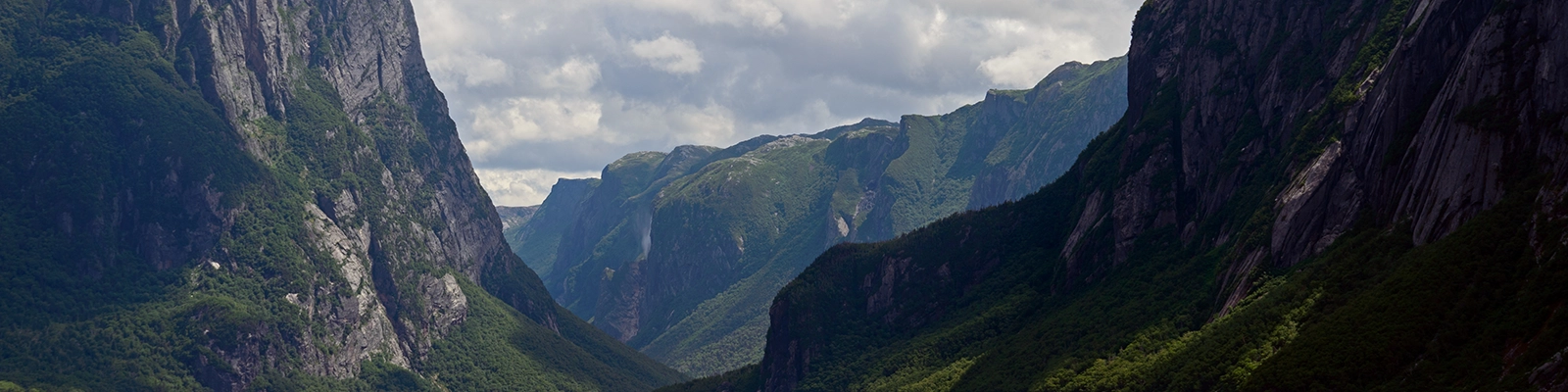 Scenic view of Gros Morne National Park with lush green forests and majestic mountains in the background