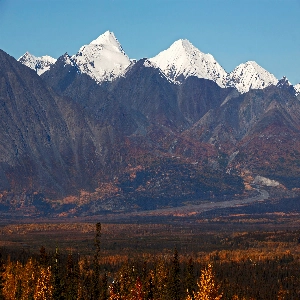 Scenic view of Kluane National Park with vibrant wildlife and breathtaking landscapes