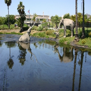 A lively scene at the Los Angeles Zoo, with visitors enjoying the diverse animal exhibits and lush greenery on a sunny day.