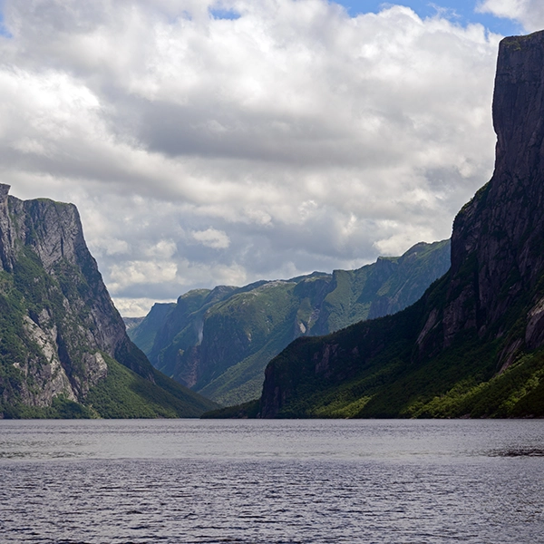 Scenic view of Gros Morne National Park with lush green forests and majestic mountains in the background