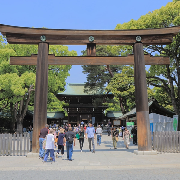 Serene view of the Meiji Shrine surrounded by lush green forest