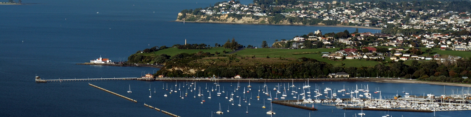 A stunning view of Auckland's skyline showcasing famous landmarks and vibrant city life