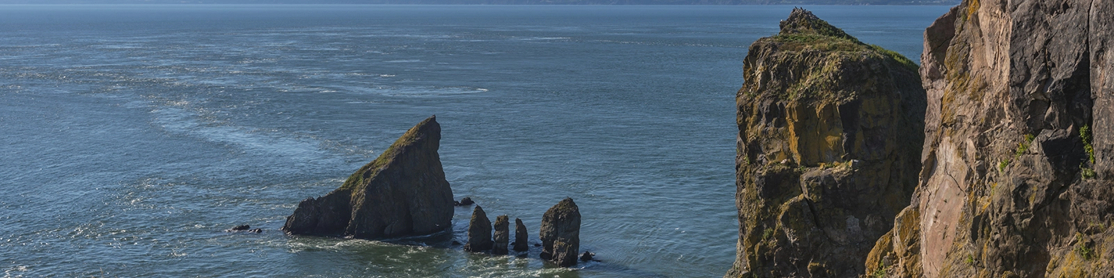 Scenic view of Cape Split, a lush coastal headland with stunning cliffs and blue ocean waves