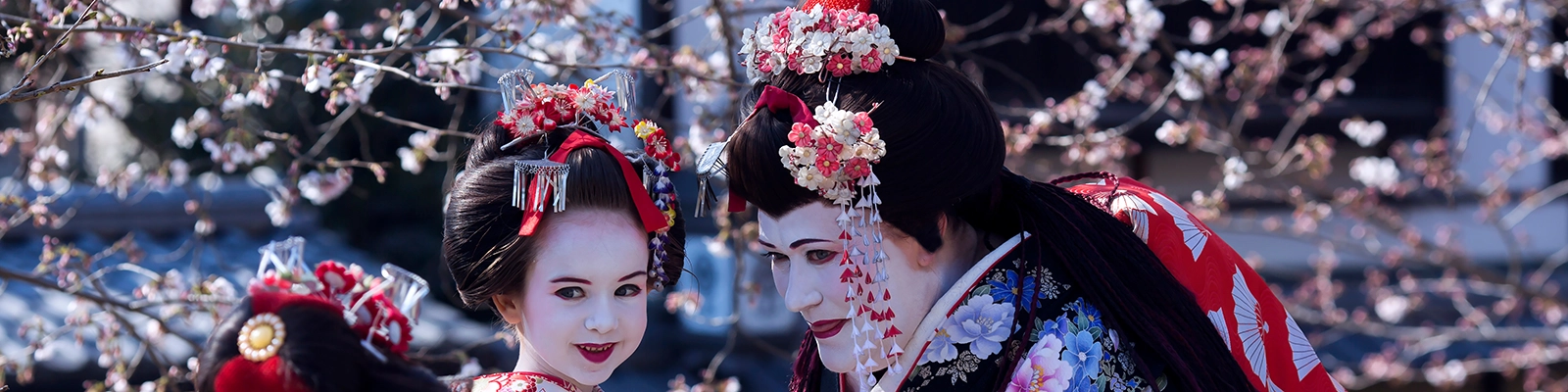 Kimono Fashion Parade - a group of people dressed in traditional Japanese kimonos, showcasing a beautiful array of colors and patterns.