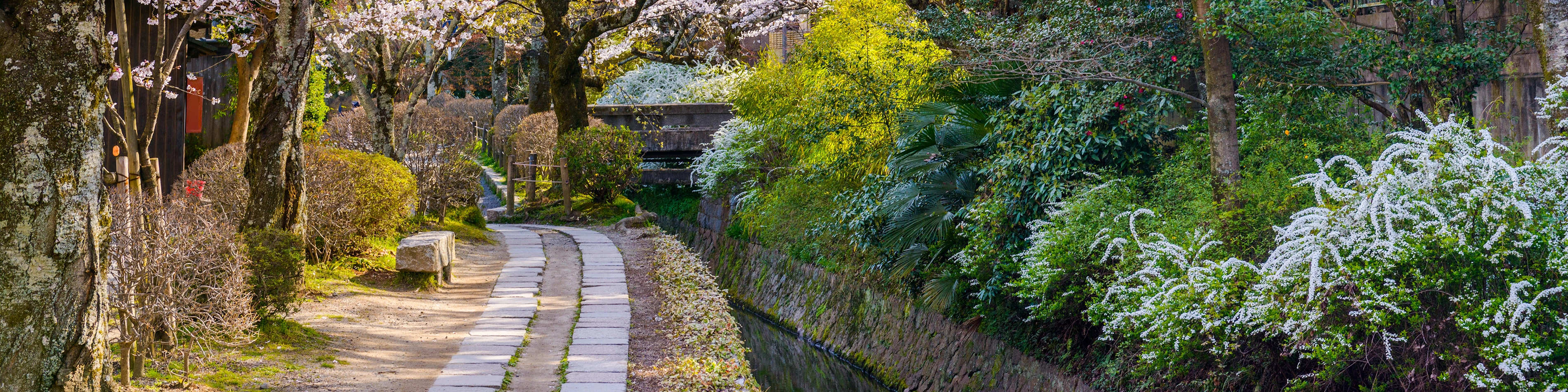 Philosopher's Walk in Kyoto, Japan - a scenic pedestrian path that follows a cherry tree-lined canal, offering beautiful views of nature and historic temples.