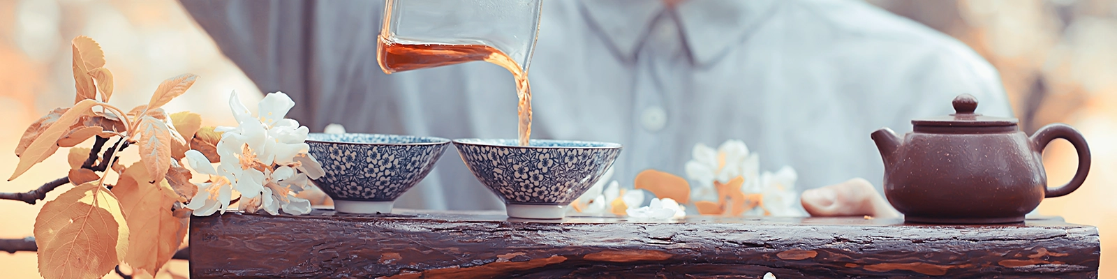 Japanese traditional tea ceremony. Gracefully pouring tea from a teapot into small ceramic cups.