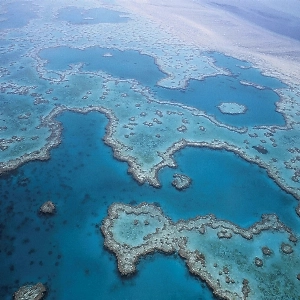 Aerial view of the stunning sandy beaches and lush greenery on Fraser Island, Australia