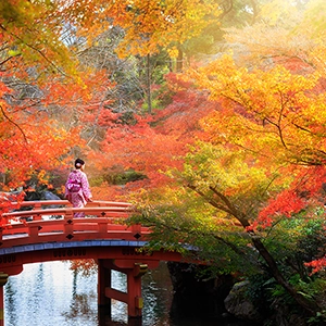Scenic view of Kyoto city with traditional Japanese architecture and beautiful nature surrounding the area.