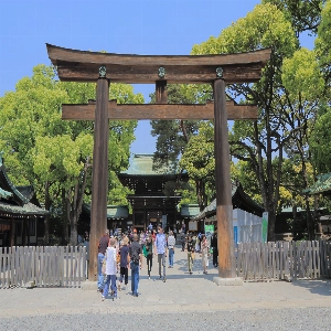 Serene view of the Meiji Shrine surrounded by lush green forest