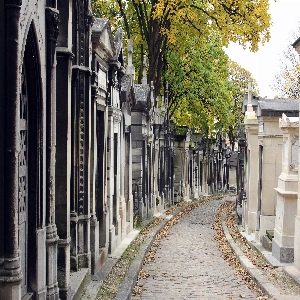 A peaceful path winding through Pere Lachaise Cemetery