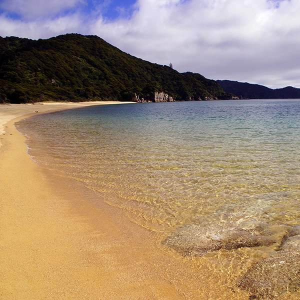 Scenic view of Abel Tasman National Park showcasing lush forests and pristine beaches