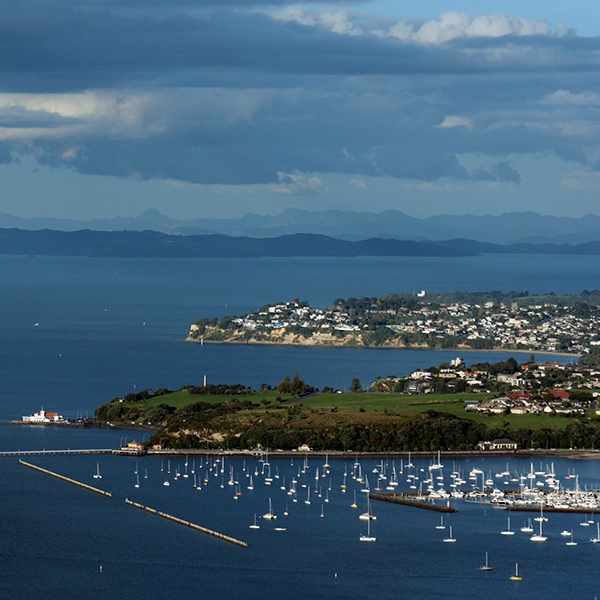 A stunning view of Auckland's skyline showcasing famous landmarks and vibrant city life