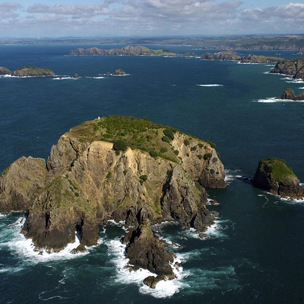 Stunning view of the picturesque Bay of Islands with crystal clear waters and lush greenery