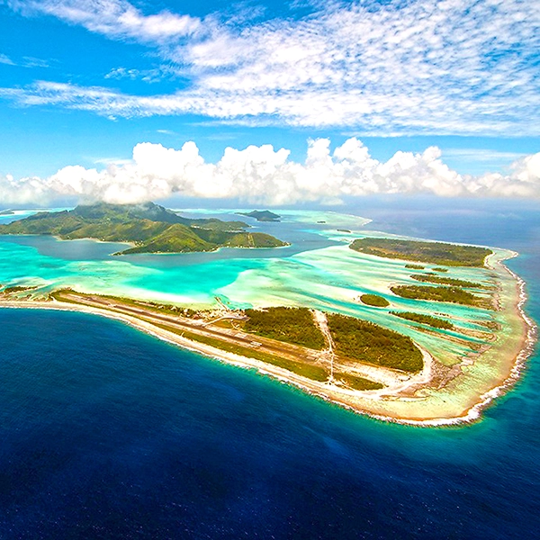 Tropical paradise in Bora Bora with crystal-clear turquoise waters, overwater bungalows, and lush green palm trees