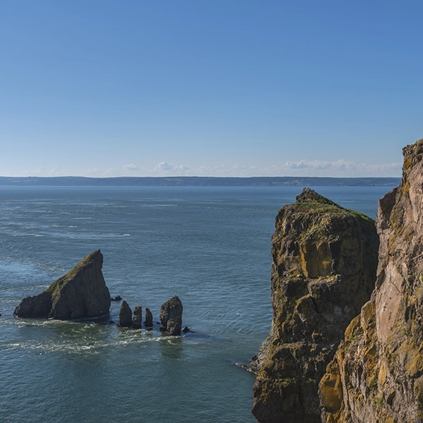 Scenic view of Cape Split, a lush coastal headland with stunning cliffs and blue ocean waves