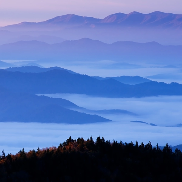 Scenic view of Great Smoky Mountains National Park with lush green forests and misty mountain peaks